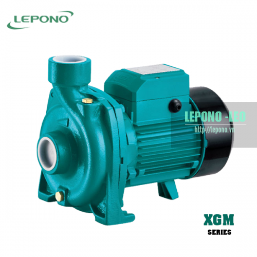 Lepono XGM 1A